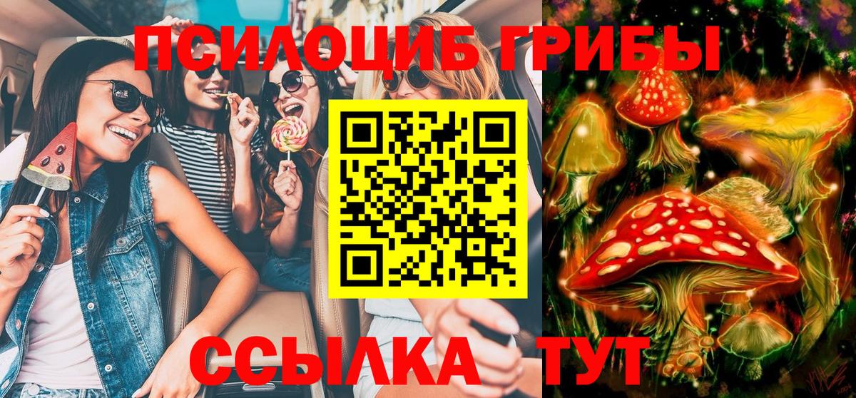 Псилоцибиновые грибы прущие грибы Томск