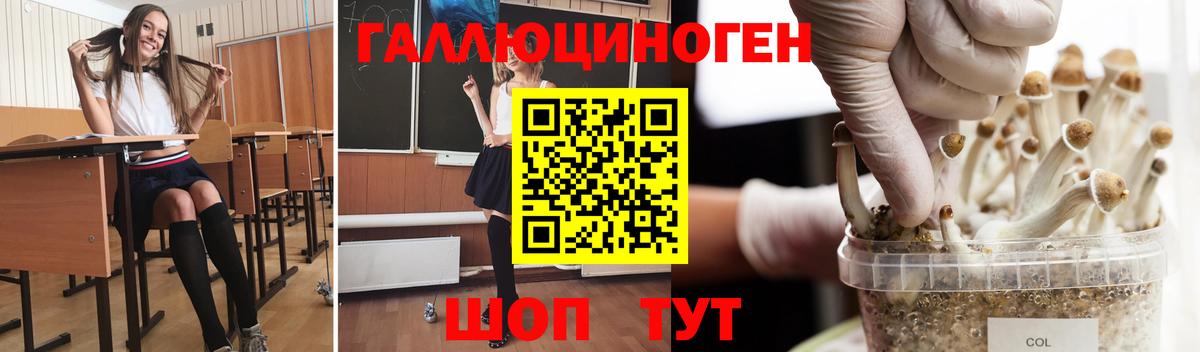 Томск  Псилоцибиновые грибы GOLDEN TEACHER  наркота  Вход с VPN  Галлюциногенные грибы Psilocybine cubensis 